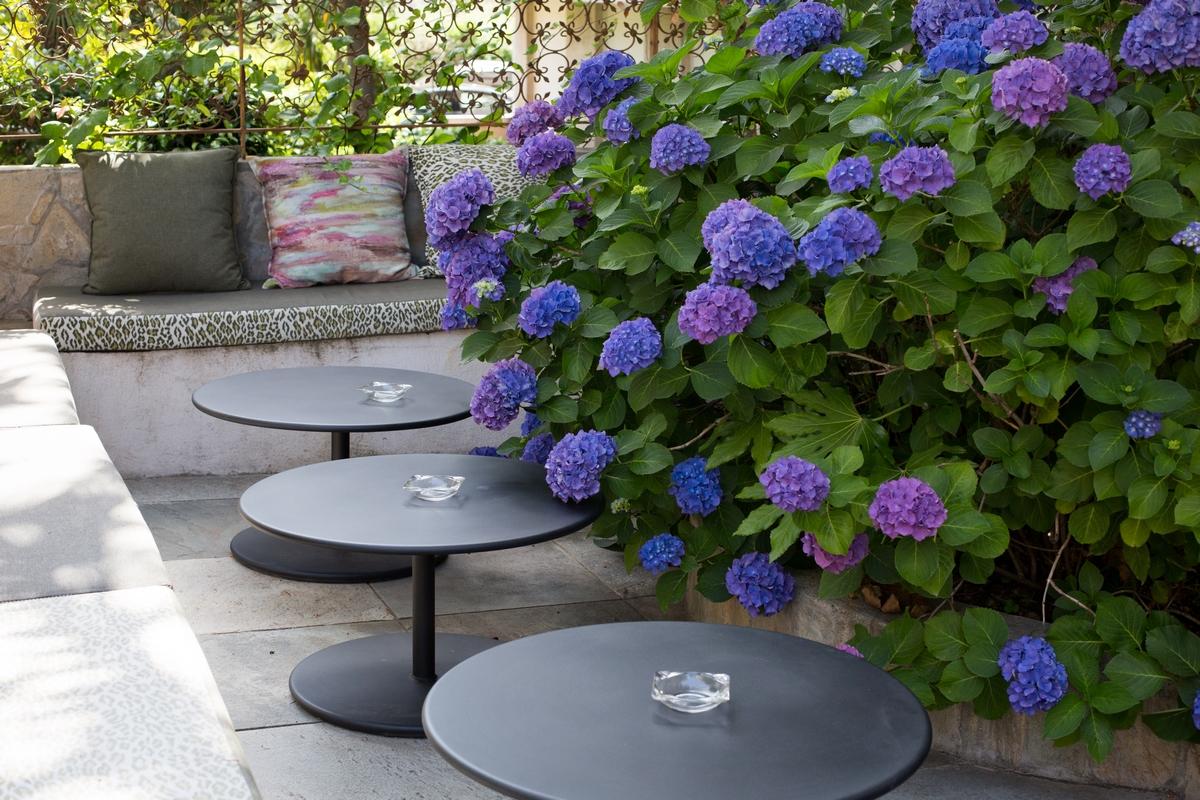 Hotel Adonis Ajaccio - Albion Ajaccio (Corsica)